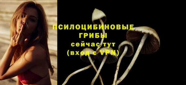 крисы Алексеевка