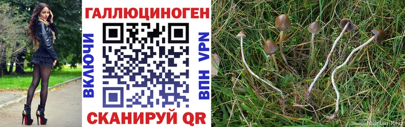 Псилоцибиновые грибы мухоморы  наркота  Чапаевск 